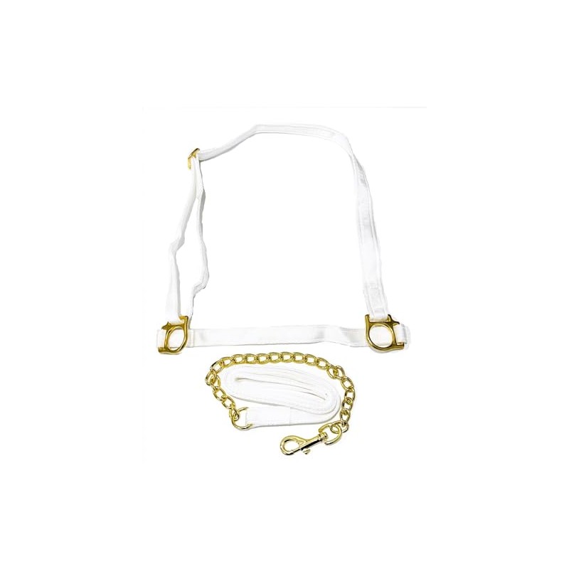 White Adjustable Horse Welsh Show Halter Headcollar with Chain Lead