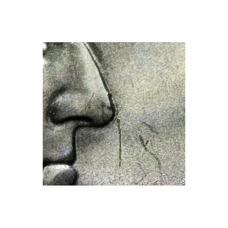 2024 p Dr. Mary Edwards Walker quarter reverse skull die