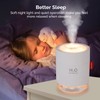 Portable Mini Humidifier, 500ml Small Cool Mist Humidifier, USB Personal