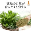 【残留農薬検査済】オーガランド よもぎ粉末 100g 無農薬 国産 よもぎパウダー 粉末 ヨモギ粉末 ヨモギ茶