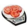 Taylor 1020NFS Compact Digital Scale, Multi-Functional Food Scale for Precise