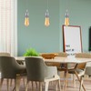 Licperron Licperron 2 Pack Vintage Pendant Light Fitting E27 Base
