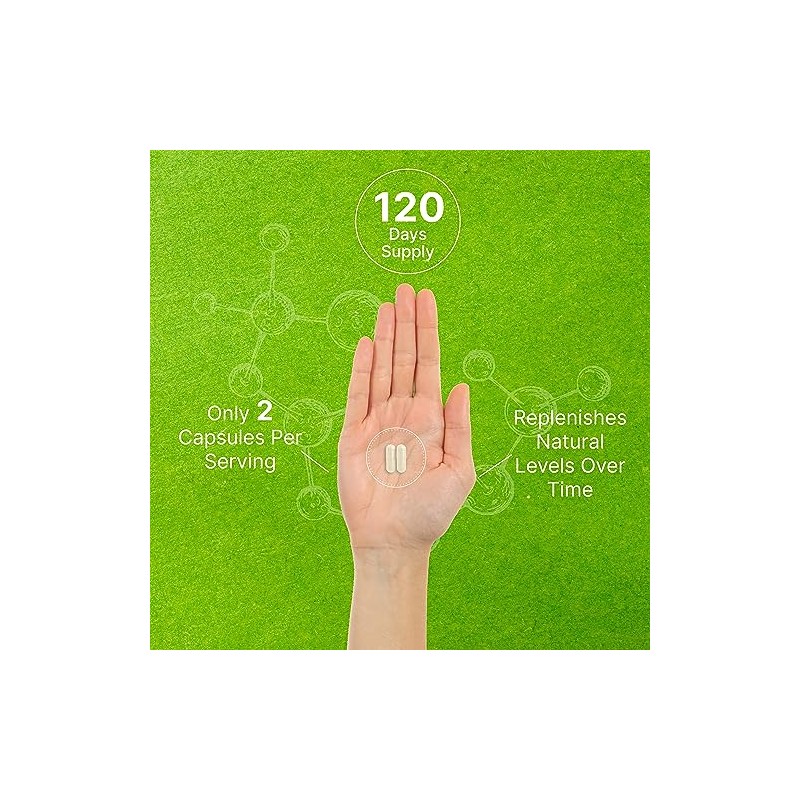 Phosphatidylserine Supplement, 400mg Serving, 240 Capsules – Soy Free Sunflower