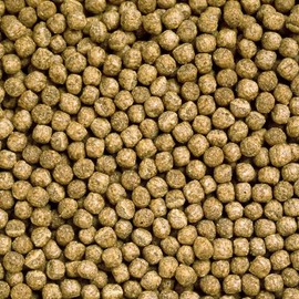 Hikari Turtle Feed for Pets, Large, 7.1 oz (200 g) (1)