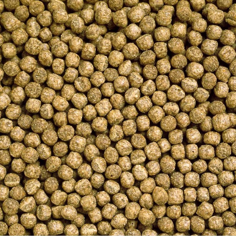 Hikari Turtle Feed for Pets, Large, 7.1 oz (200 g)