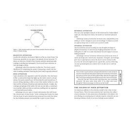 The 12 Week Mind Workout: Focused Training for Mental Strength and Balance