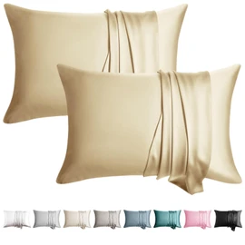 WLOSJ 100% Silk Pillowcase for Hair and Skin Toddler Size 2 Pack Mulberry Silk Pillow Case 13 x 18 Inches Highest 6A Silk Kids/Travel Pillow Cover Soft Breathable Cooling with Hidden Zipper, Champagne