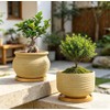 Rustic 4 inch Bonsai Plant Pot with Bamboo Tray Set