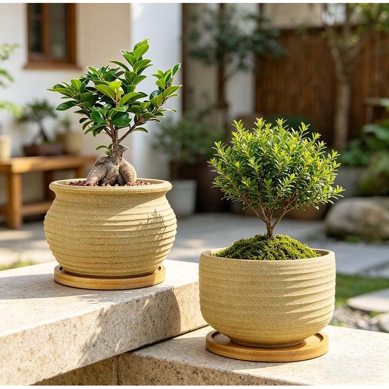 Rustic 4 inch Bonsai Plant Pot with Bamboo Tray Set