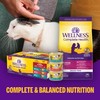 Wellness Complete Health Pate Adult Wet Cat Food, Natural, Protein-Rich,
