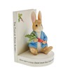 Beatrix Potter Peter Rabbit Book Stop