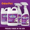 OdorPet Pet Stain Remover and Odor Eliminator - 16 Oz