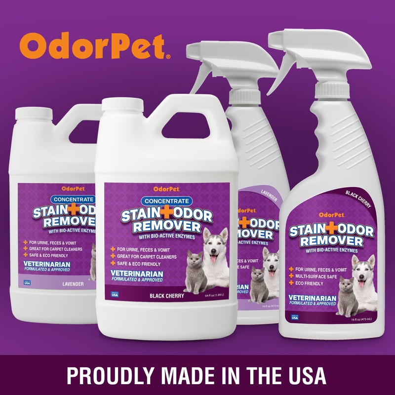 OdorPet Pet Stain Remover and Odor Eliminator - 16 Oz