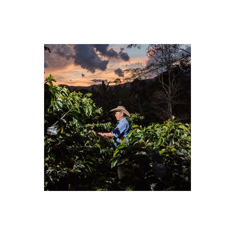 Juan Valdez | Café Soluble Liofilizado Orgánico de Colombia |