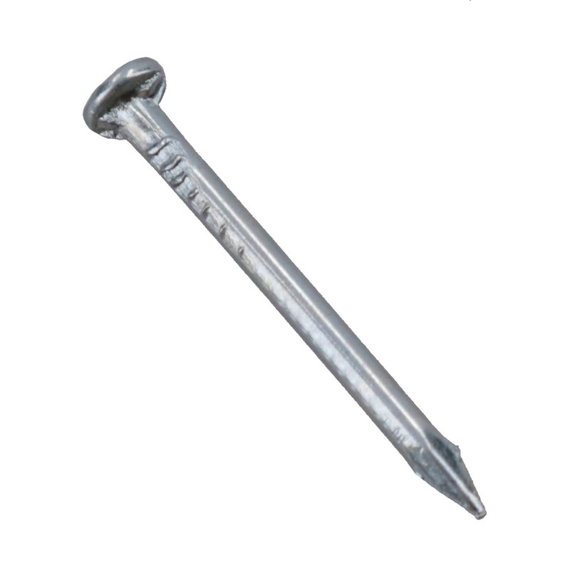 20mm / 3/4” Flat Headed Multi Purpose Nails Panel Pins
