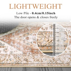 Lahome Boho Machine Washable Rugs - 5x7 Area Rug for Living Room Throw Lightweight Large Rugs for Bedroom Non-Slip Low-Plie Diniing Room Rug, Oriental Distressed Print Floor Carpet for Office Nursery