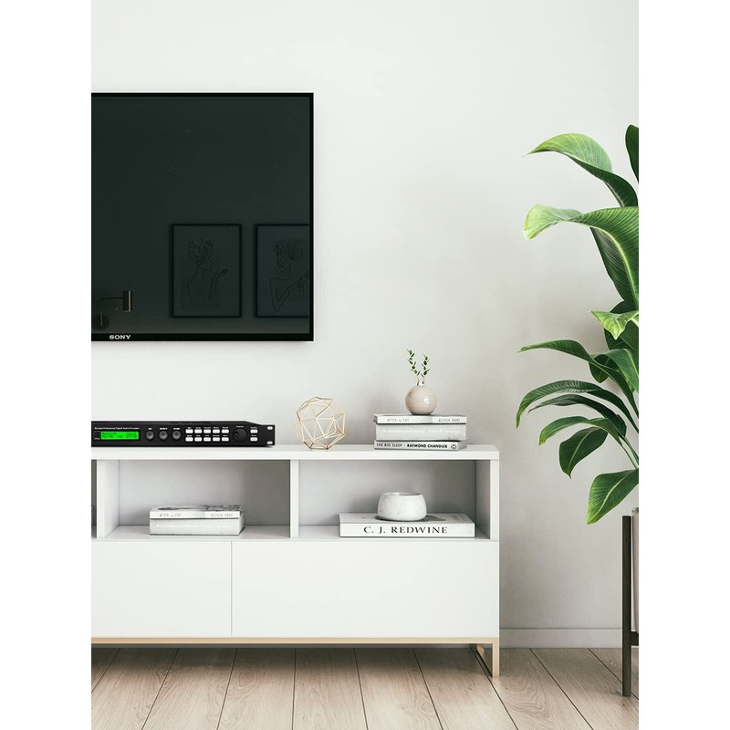 Depusheng X5 Karaoke Professional Digital Audio Processor Can Set via