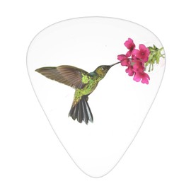 Hummingbird Spring Flower Guitar Picks For Acoustic Guitar Mandolin Bass Electric Guitar 12-Pack Includes Thin Medium Heavy Gauges
