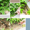 15-Piece Bonsai Tree Kit, Bonsai Tool Set, Bonsai Starter Kit,