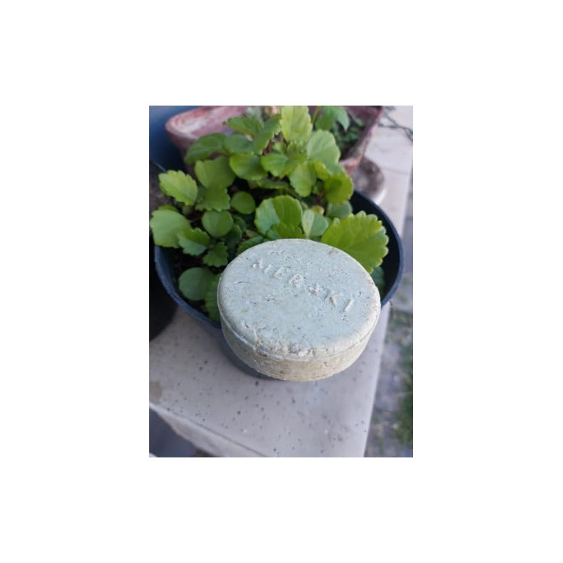 Shampoo Sólido de Avena y Miel – Hidratación y Suavidad