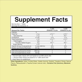 Childlife Essentials Omega Dha Choline Softchew Gummies