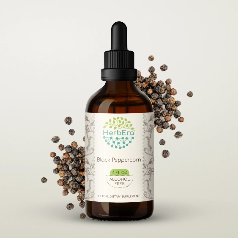 HerbEra Black Peppercorn Alcohol-FREE Tincture, Organic (Piper nigrum) - 2