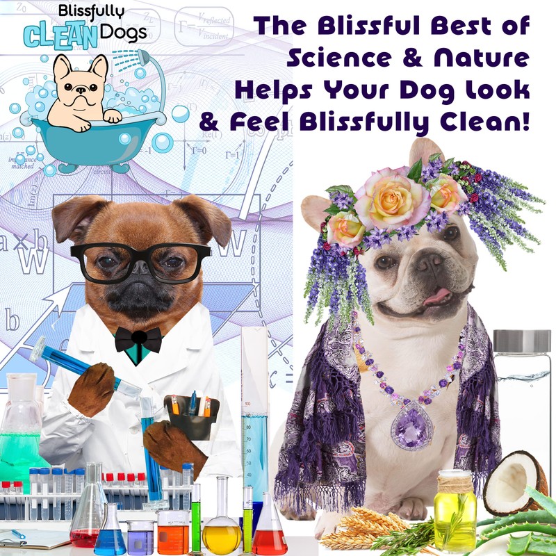 The Blissful Dog Shih Tzu Drama Queen Dog Shampoo, 8