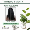 Difeel Champú fortalecedor del cabello de romero y menta, 12
