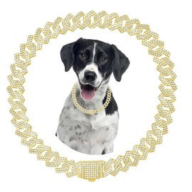 Gold Chain Dog Collar Rhinestone Dog Necklace Puppy Collar Glitter Chain Bling Cuban Links for Small Medium Large Pet 10 Inch