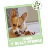 Nature Gnaws Pork Bully Stick Springs for Dogs 7-8" (12