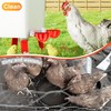 ZenxyHoC Chicken Waterer Cups, 6 Pack Automatic DIY Chicken Water