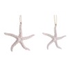 White Starfish Christmas Ornaments, Set of 2, Nautical Theme, Holiday