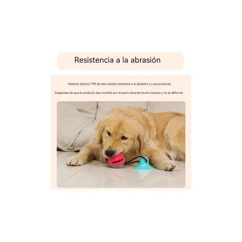 Hiperactivos Interactivos Cachorros Juguetes Para Perros