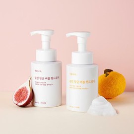 Shingmulnara Mild Antibacterial Foaming Hand Wash (#Fig)_280mL - #Fig