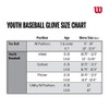 Wilson A200 Series 10-Inch Tee Ball guante (mano derecha Throw),