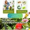Fly Trap Indoor, Gnat Killer Indoor, Fly Traps Indoor for