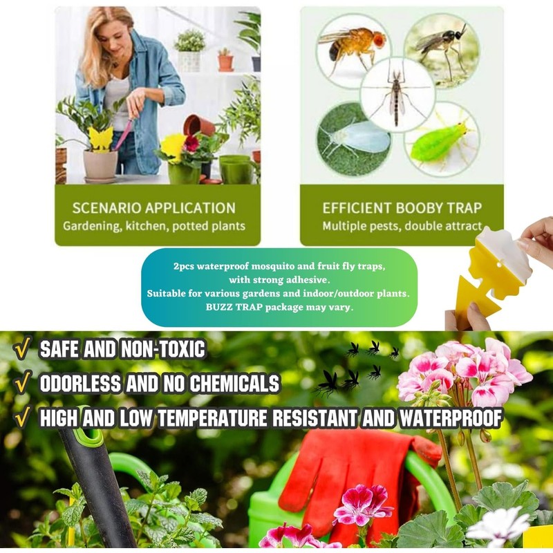 Fly Trap Indoor, Gnat Killer Indoor, Fly Traps Indoor for