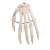 Hand skeletal model that correctly reproduces the position of each