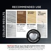 Colour Freedom Metallic Silver Blonde Permanent Hair Dye with PurePlex.