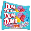 Dum Dums Bunny Pops Easter Lollipops 2024, Easter Basket Candy,