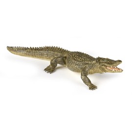 Papo - Realistic Alligator Figure - Ages 3+ - Wild Life Collection - Educational Play Swamp Reptiles - Gift Idea Toy for Girls and Boys - 7.5 in