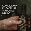 Aveda Pure-Formance Acondicionador | Aporta Brillo