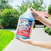 Windows101 F9 Double Eagle Cleaner/Degreaser/Neutralizer (1)