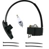 INPWOC 4244-400-1307 Ignition Coil with spark plug for Stihl Backpack