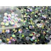 1440pcs HotFix Iron-On Flatbac Rhinestones Seed Beads SS16 Clear Crystal