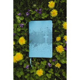 NIV, Kids' Visual Study Bible, Leathersoft, Teal, Full Color Interior, Peel/Stick Bible Tabs: Explore the Story of the Bible---People, Places, and History