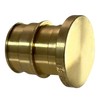 1 Pieces XFITTING 3/4" Pex A Plug, F1960 Expansion Plug