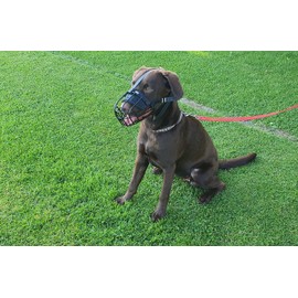 L&J Pets Uk Strong Metal Wire Basket Dog Muzzle for Spaniel and other (3, 3+ and 3X) (Black leather/Black Basket, 3+)