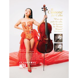 LARSEN STRINGS Il Cannone cello strings IL Cannone D steel Warm & Broad