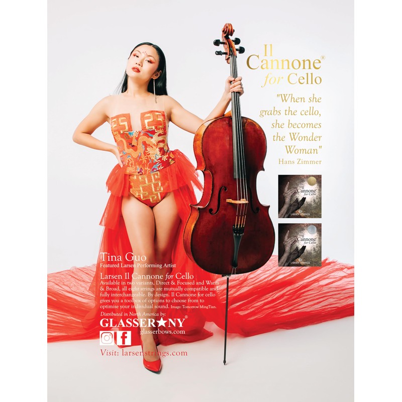 LARSEN STRINGS Il Cannone cello strings IL Cannone D steel